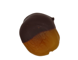 Chocolate Dipped Apricot