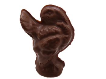 Small Chocolate Turkey